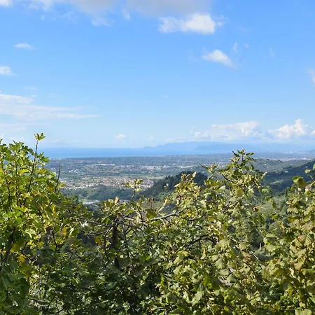 Rustico Antonella קמאיורה