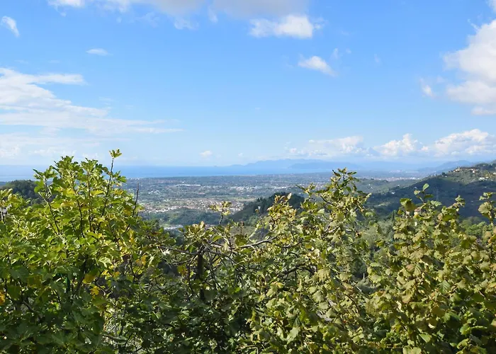 Rustico Antonella Camaiore